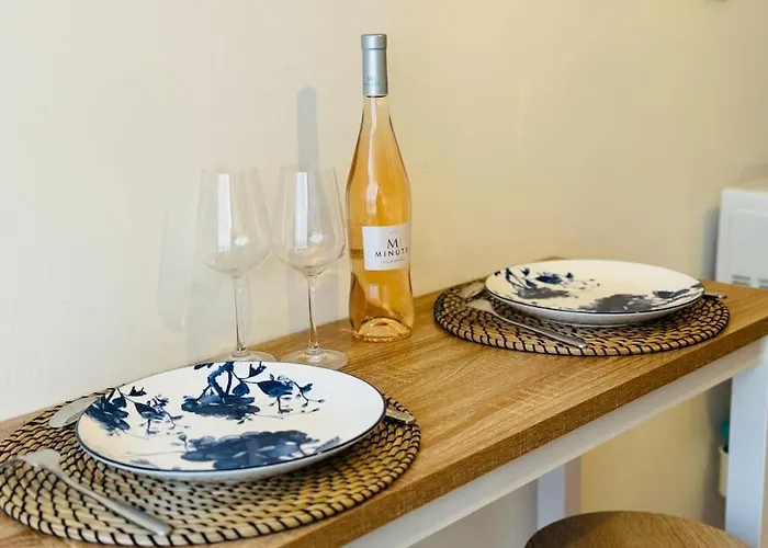 Daire Cosy 2 Pieces Elegant Proche Gare Et Port Vauban Antibes